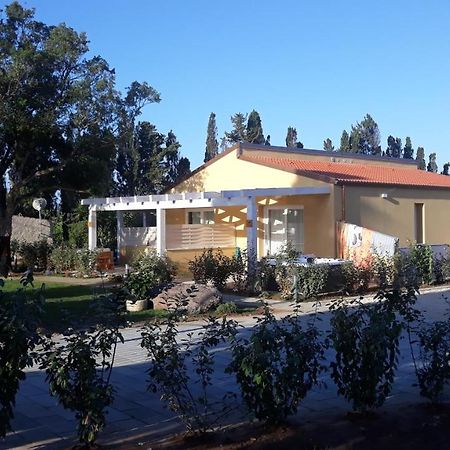 Azienda Agricola I Peperoncini ألغيرو المظهر الخارجي الصورة