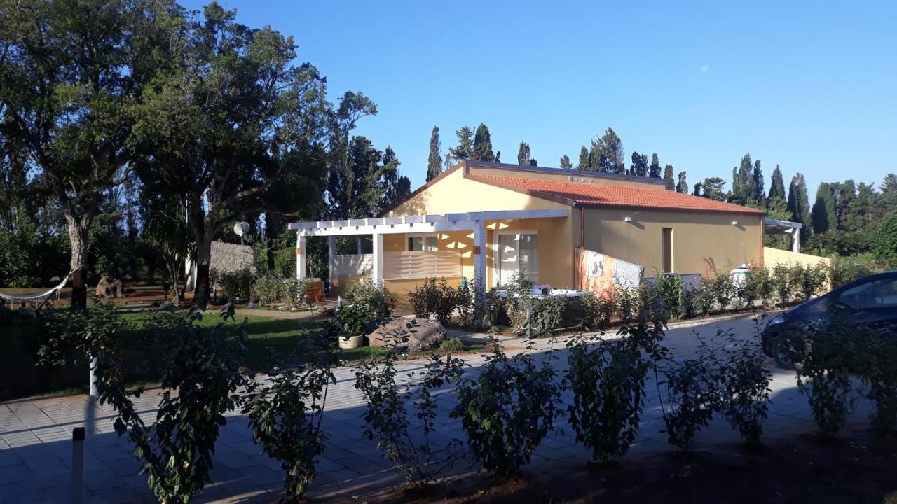 Azienda Agricola I Peperoncini ألغيرو المظهر الخارجي الصورة