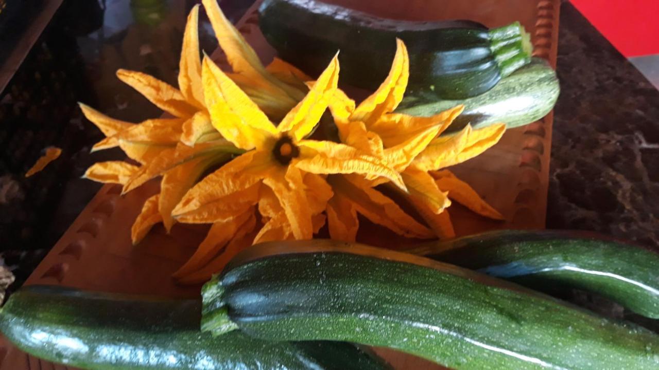 Azienda Agricola I Peperoncini ألغيرو المظهر الخارجي الصورة