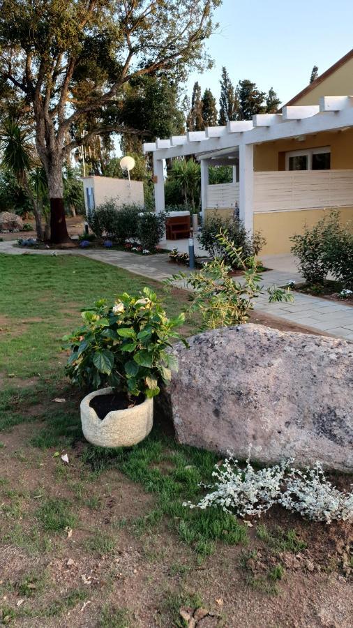 Azienda Agricola I Peperoncini ألغيرو المظهر الخارجي الصورة